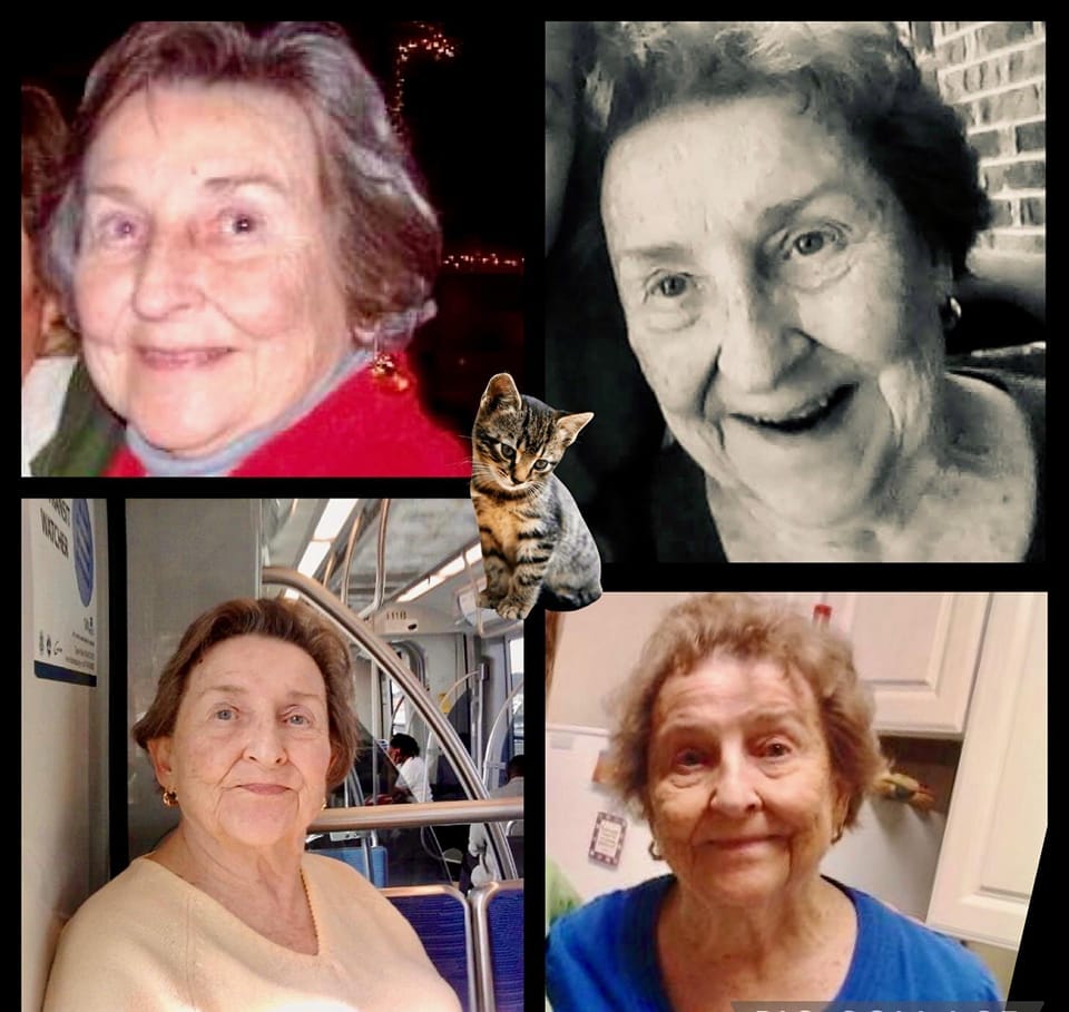 Remembering Elsie Roberts, the founder of Island Cat Allies