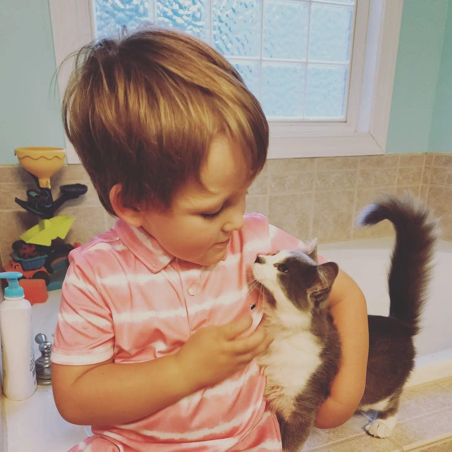ica little man w kitten